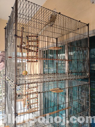 Bird kage